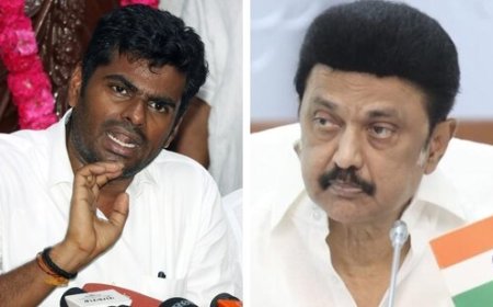 BJP slams DMK over damaged check dam in Trichy