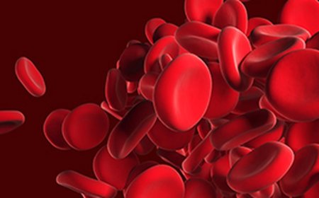 Preventing bleeds before they happen: understanding prophylaxis in haemophilia care