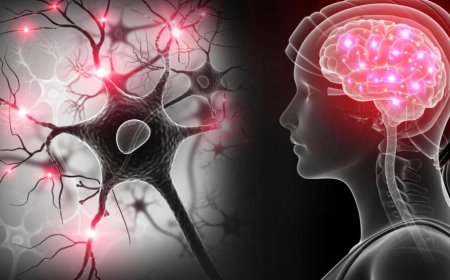 நரம்பியல் நோய்களுக்கான முக்கிய காரணங்கள்