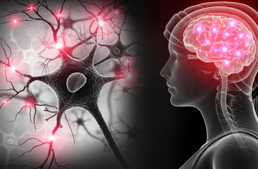 நரம்பியல் நோய்களுக்கான முக்கிய காரணங்கள்